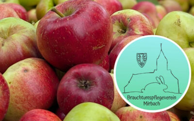 Frisch gepresster Apfelsaft